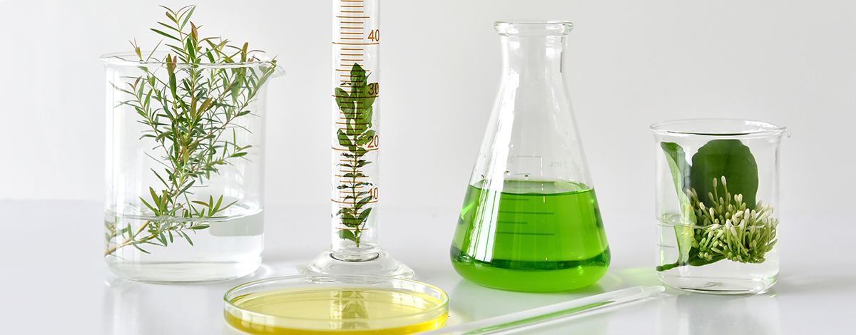 Prognosis of Sustainability in the Pharma Industry