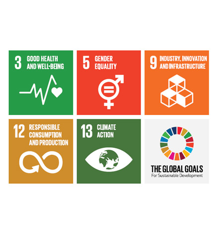 unsdg