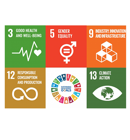 SDG collage image